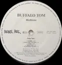 LP - Buffalo Tom - Birdbrain