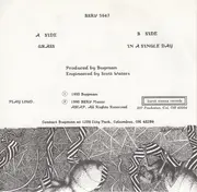 7inch Vinyl Single - Bugman - Grass