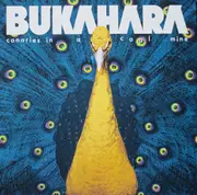 LP - Bukahara - Canaries In A Coalmine