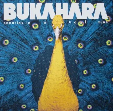Bukahara - Canaries In A Coalmine