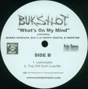 Bukshot - What's On My Mind