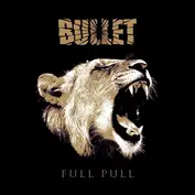 Bullet