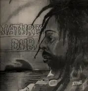 Bullwackies All Stars - Natures Dub