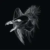 Buried at Sea - Migration