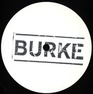 Burke - Blue Tongued Skink