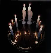 LP - Burning Love - Songs For Burning Lovers