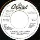 7inch Vinyl Single - Burning Sensations - Belly Of The Whale