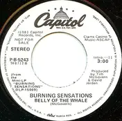 Burning Sensations - Belly of the Whale
