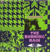 Burnin Rain - Visions