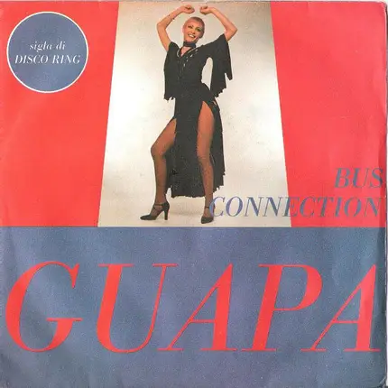 Bus Connection - Guapa