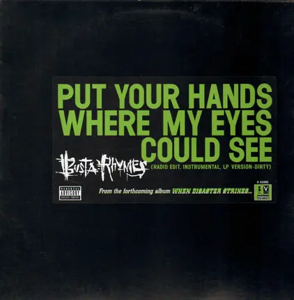 Busta Rhymes - Put Your Hands Where My Eyes Could See