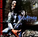 Double LP - Busta Rhymes - When Disaster Strikes...