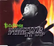 CD Single - Busta Rhymes - Turn It Up (Remix) / Fire It Up