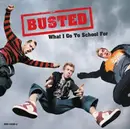CD Single - Busted - What I Go To School For