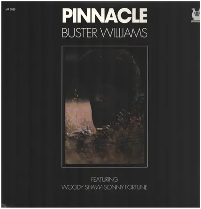 Buster Williams - Pinnacle