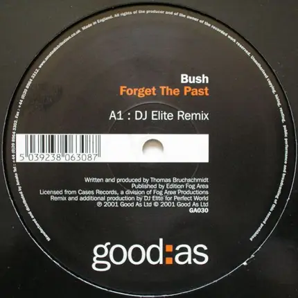 Bush - Forget The Past