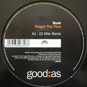12inch Vinyl Single - Bush - Forget The Past