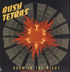 Bush Tetras - Boom In The Night (Original Studio Recordings 1980 - 1983)