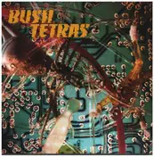 Bush Tetras - There Is A Hum