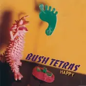 Bush Tetras - Happy