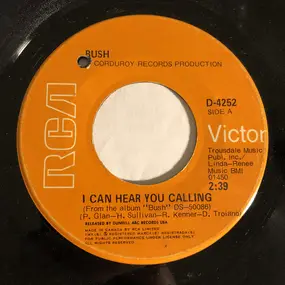 Bush - I Can Hear You Calling