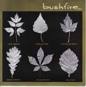 BUSHFIRE - Bushfire