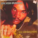 LP - Bushman - My Meditation