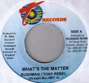 Bushman - What's The Matter