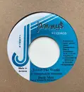 7inch Vinyl Single - Bushman - Travel The World