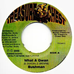 Bushman - What A Gwan