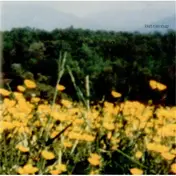 Buttercup - Buttercup