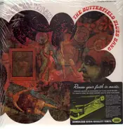 The Butterfield Blues Band - In My Own Dream