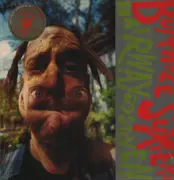 LP - Butthole Surfers - Hairway to Steven