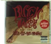 Butch Walker - Rise and Fall of Butch Wa