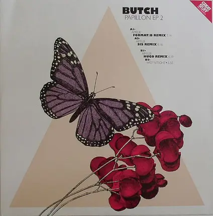 Butch - Papillon