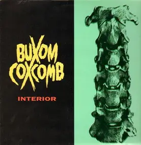 Buxom Coxcomb - Interior