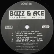 Buzz & Ace - Wales E.P.