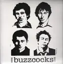 Double LP - Buzzcocks - Secret Publics 'Best In Good Food'