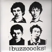 Buzzcocks - Secret Publics 'Best In Good Food'