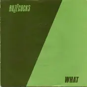 Buzzcocks - What Do I Get?
