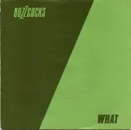 Buzzcocks - What Do I Get?