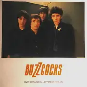 LP & MP3 - Buzzcocks - Another Music In A Different Kitchen - 180g + Booklet