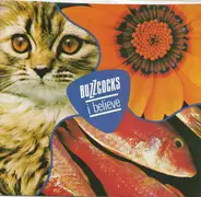 Buzzcocks - I Believe