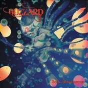 Buzzard - Sonic Renaissance