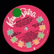 LP - Buzzy Linhart - The Time To Live Is Now - Promo