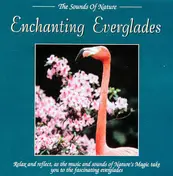 Byron M. Davis - Enchanting Everglades