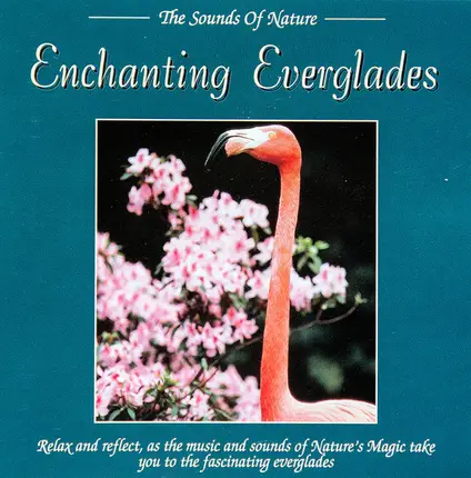 Byron M. Davis - Enchanting Everglades