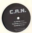 12inch Vinyl Single - C.A.N. - Cuntree