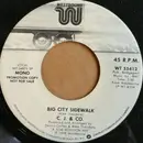 7inch Vinyl Single - C.J. & Co - Big City Sidewalk