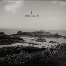 12inch Vinyl Single - C.S.R - Roche Madame 001